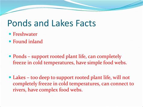 ponds and lakes facts.